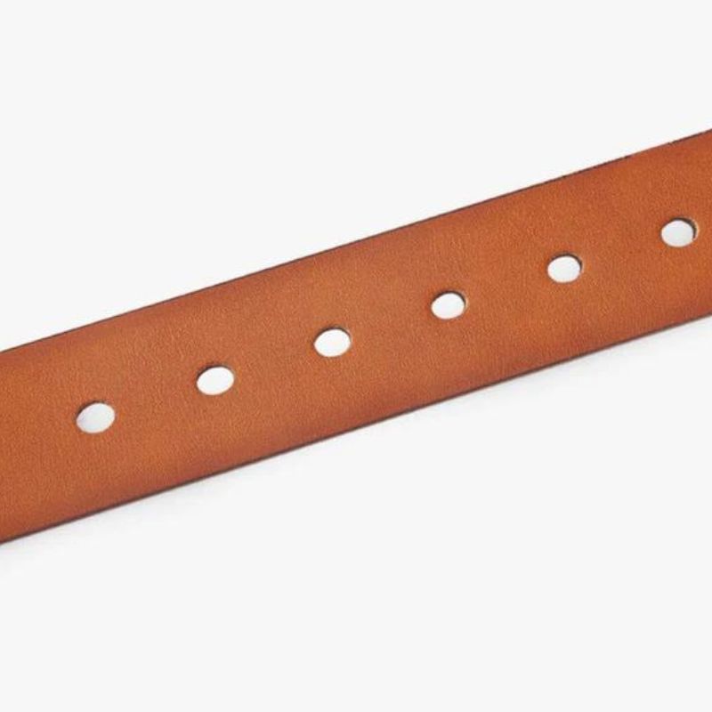 Cinturón de cuero clásico para hombre Forth