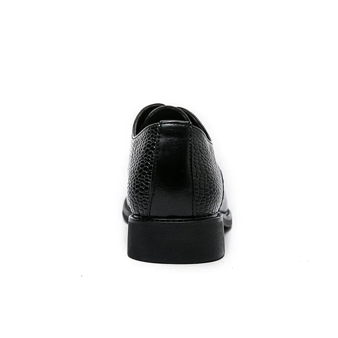 Zapatos Derby de Hombre Forth Aranjuez
